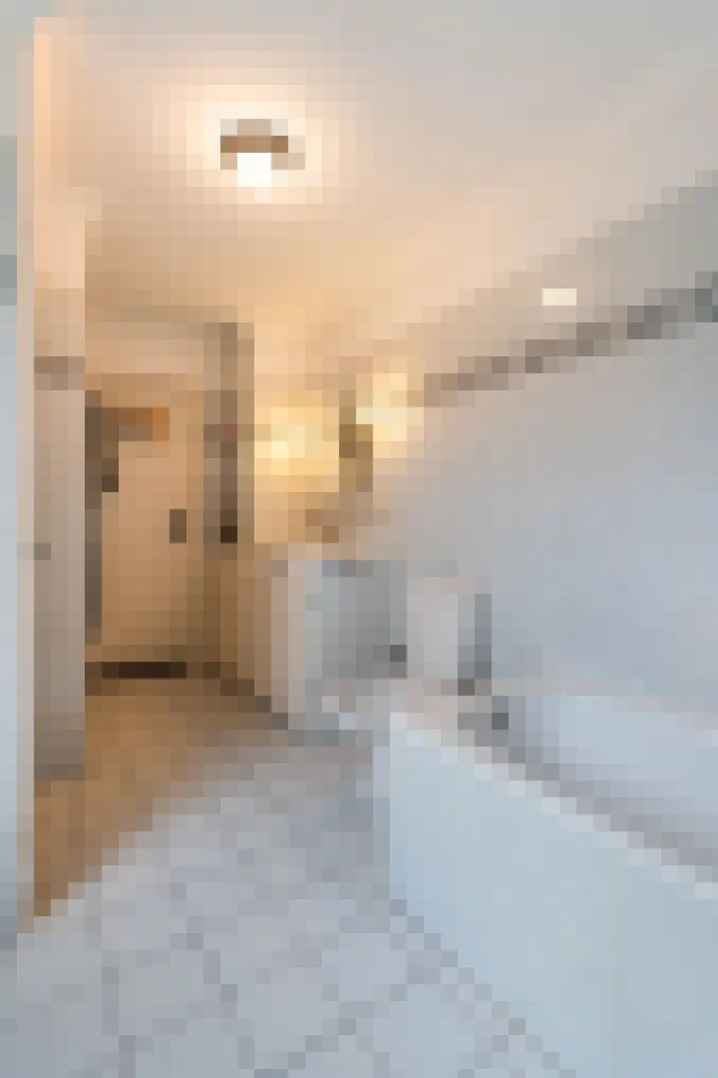 Overweertstraat 15 Weert thumbnail 23