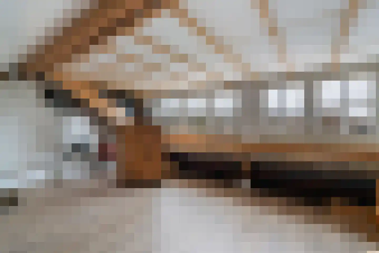 Overweertstraat 15 Weert thumbnail 30