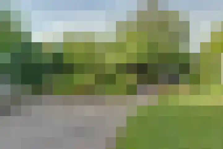 Overweg 51 Spankeren thumbnail 36