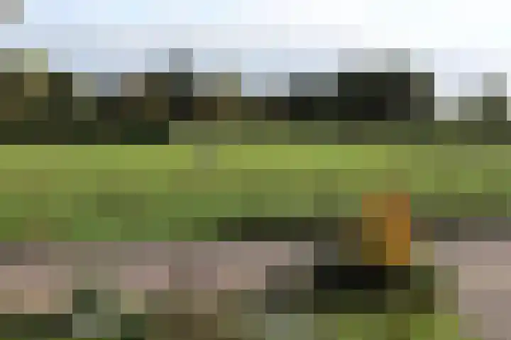 Overweg 51 Spankeren thumbnail 40
