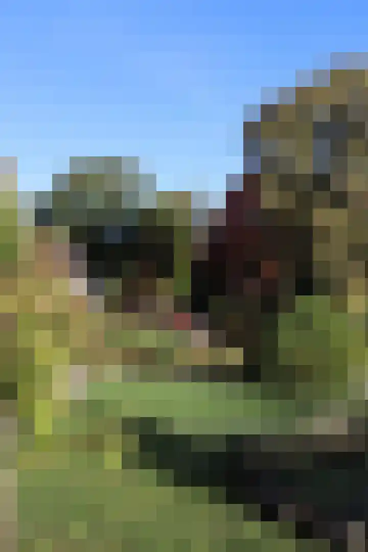 Overweg 51 Spankeren thumbnail 41