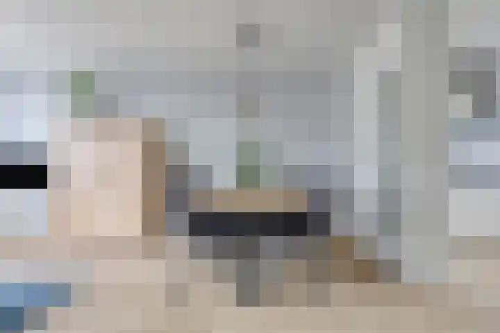 Overzicht 21 Kamerik thumbnail 12