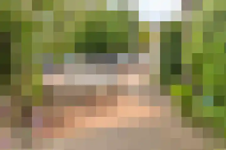 Overzicht 21 Kamerik foto 2