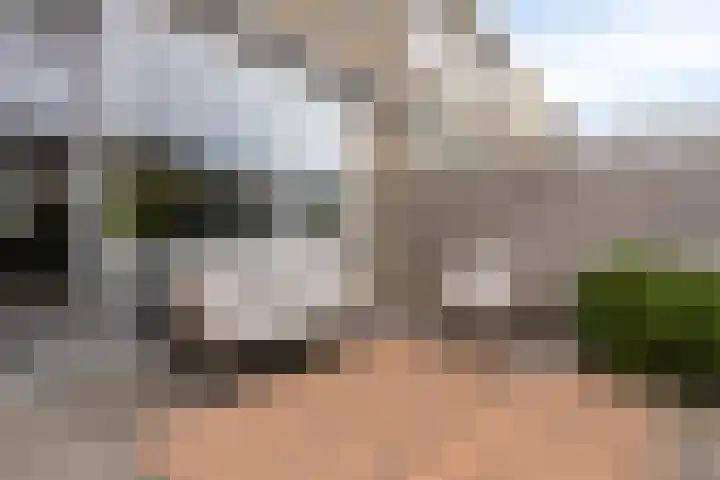 Overzicht 21 Kamerik thumbnail 27