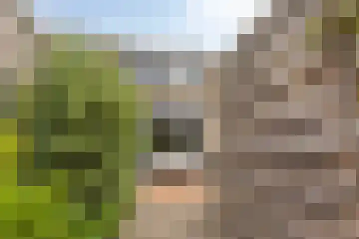Overzicht 21 Kamerik thumbnail 28