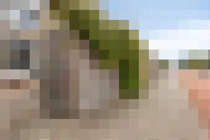 Overzicht 21 Kamerik thumbnail 29
