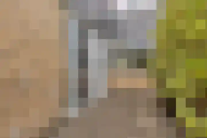 Overzicht 21 Kamerik thumbnail 30