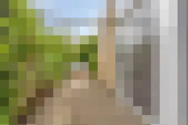 Overzicht 21 Kamerik thumbnail 31