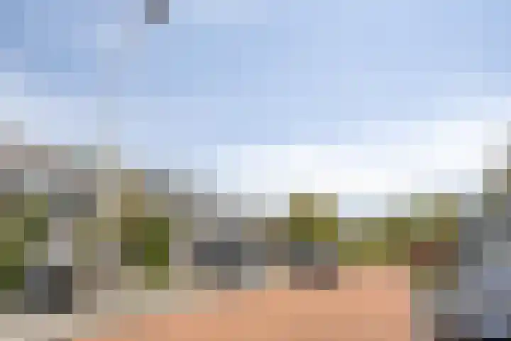 Overzicht 21 Kamerik thumbnail 33