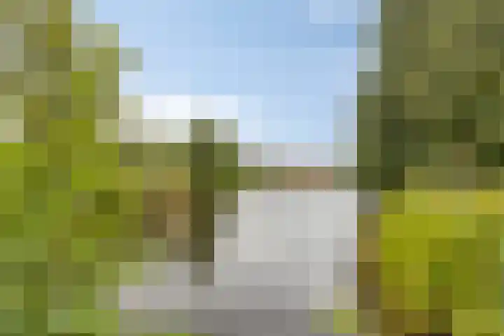 Overzicht 21 Kamerik thumbnail 34