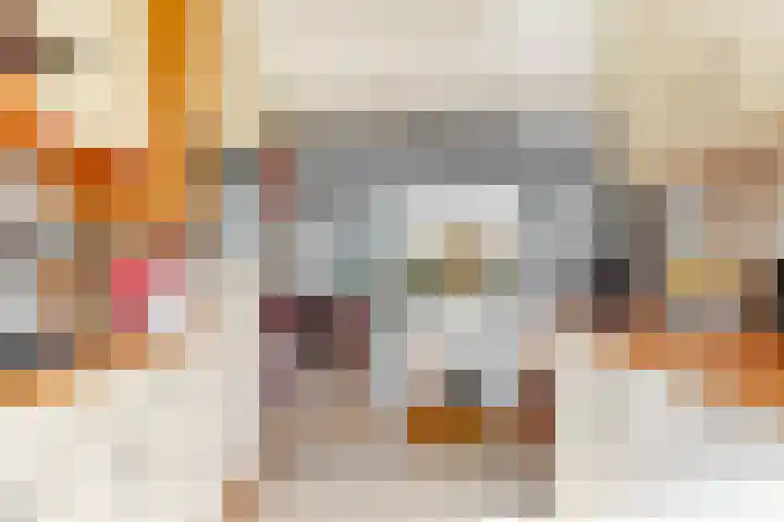 Overzicht 23 Kamerik thumbnail 10