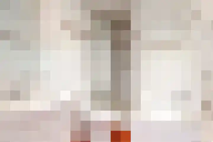 Overzicht 23 Kamerik thumbnail 18