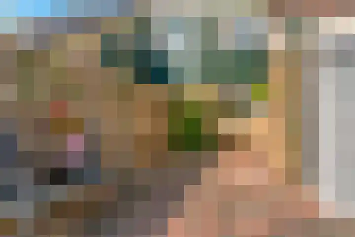 Overzicht 23 Kamerik thumbnail 30