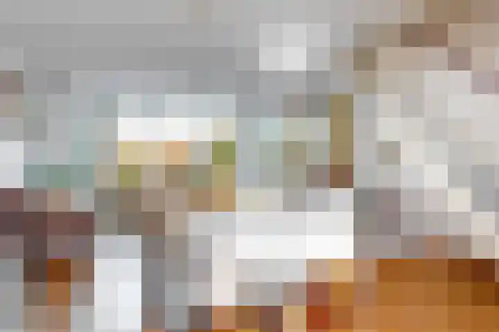 Overzicht 23 Kamerik thumbnail 9