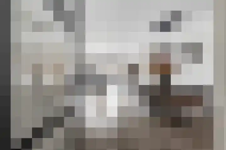 Ovezandepad 80 Rotterdam thumbnail 13