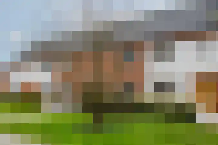 Ovezandepad 80 Rotterdam thumbnail 6