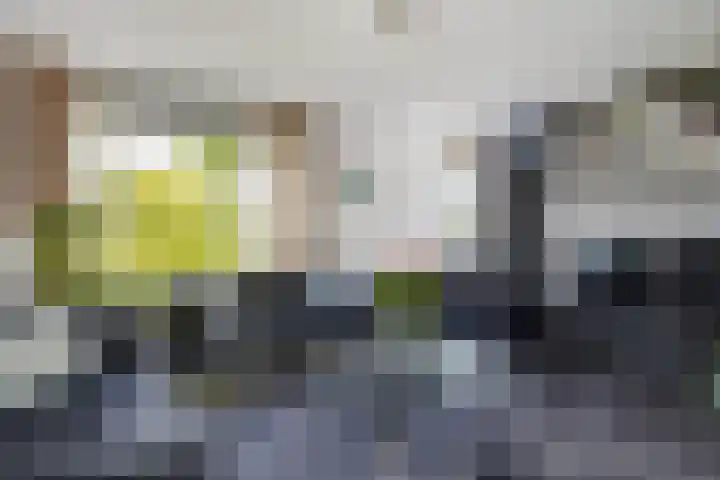 Ovidiusstraat 20 Sittard thumbnail 14
