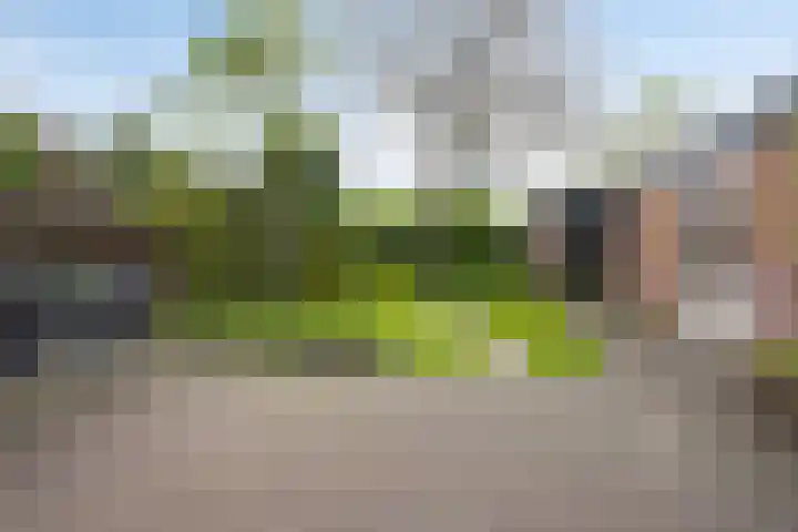 Oxrooi 10 Helmond thumbnail 5