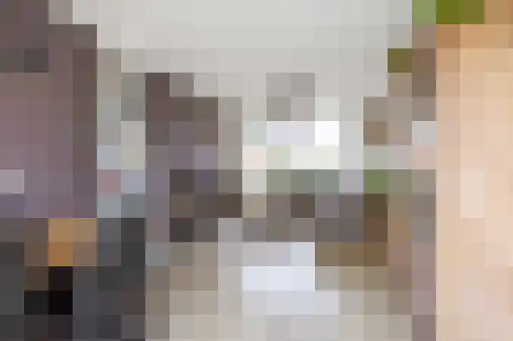 P.B. Winsemiusstrjitte 34 Minnertsga thumbnail 10