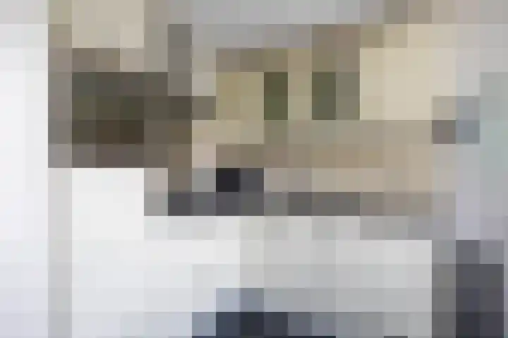 P.B. Winsemiusstrjitte 34 Minnertsga thumbnail 18