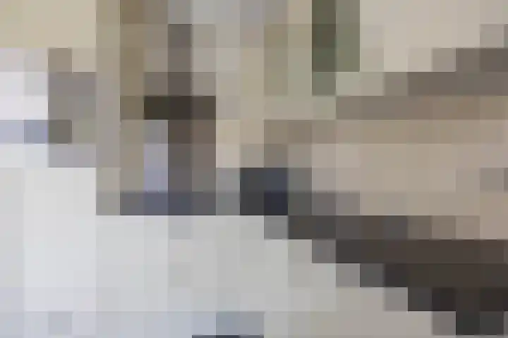 P.B. Winsemiusstrjitte 34 Minnertsga thumbnail 19