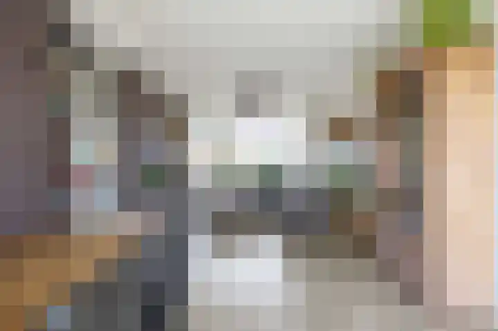 P.B. Winsemiusstrjitte 34 Minnertsga thumbnail 23