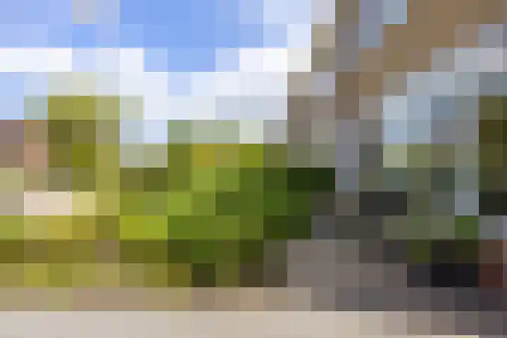P.B. Winsemiusstrjitte 34 Minnertsga thumbnail 5