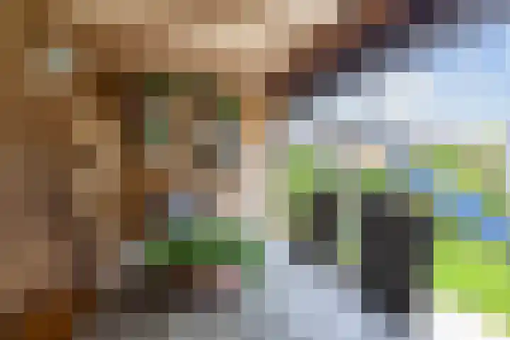 P.B. Winsemiusstrjitte 34 Minnertsga thumbnail 51