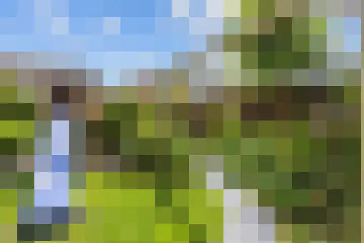 P.B. Winsemiusstrjitte 34 Minnertsga thumbnail 54