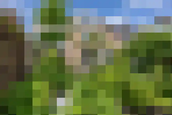 P.B. Winsemiusstrjitte 34 Minnertsga thumbnail 56