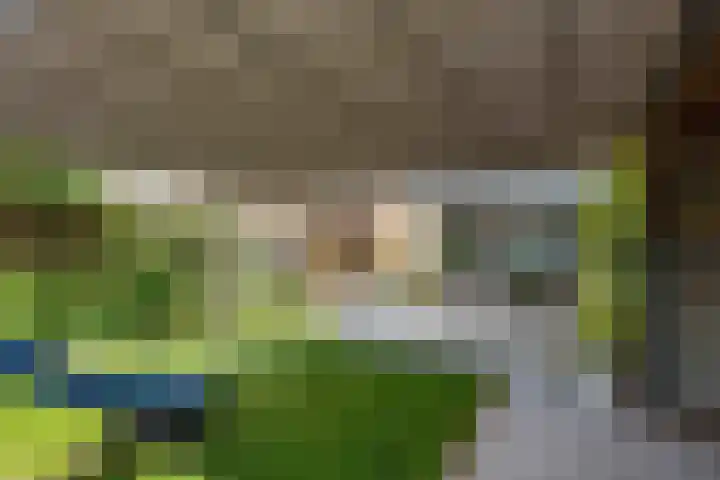P.B. Winsemiusstrjitte 34 Minnertsga thumbnail 61