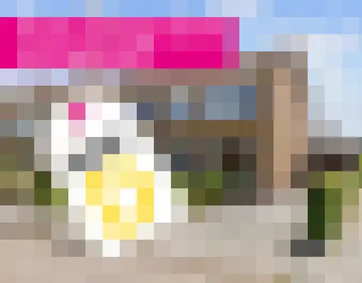 P.B. Winsemiusstrjitte 34 Minnertsga thumbnail 65
