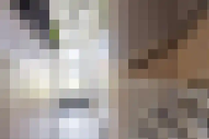 P.B. Winsemiusstrjitte 34 Minnertsga thumbnail 9