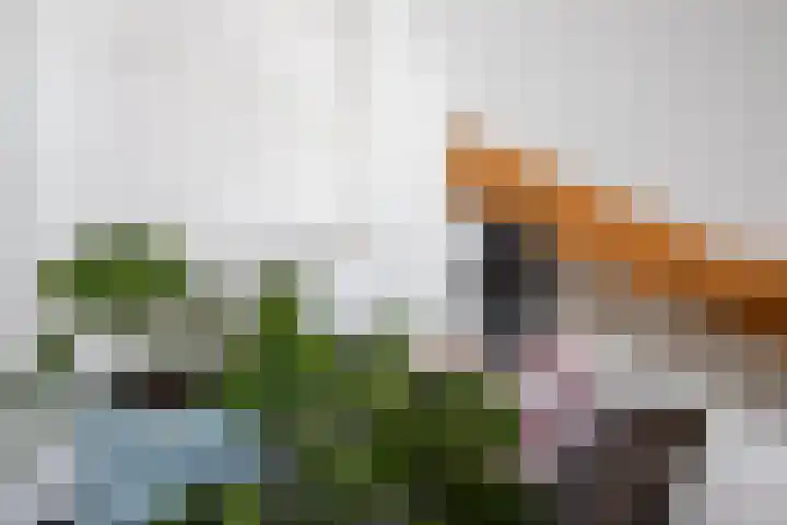 P.C. Bothstraat 7 Gouda thumbnail 36