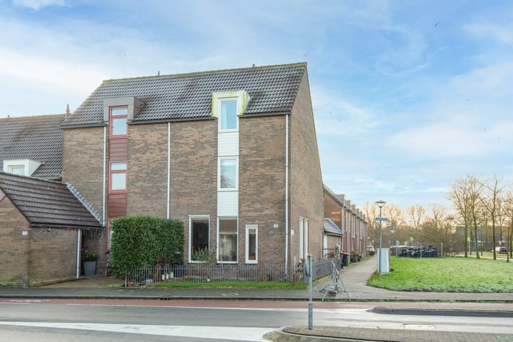 Paardebloem 131 in Zwaag foto