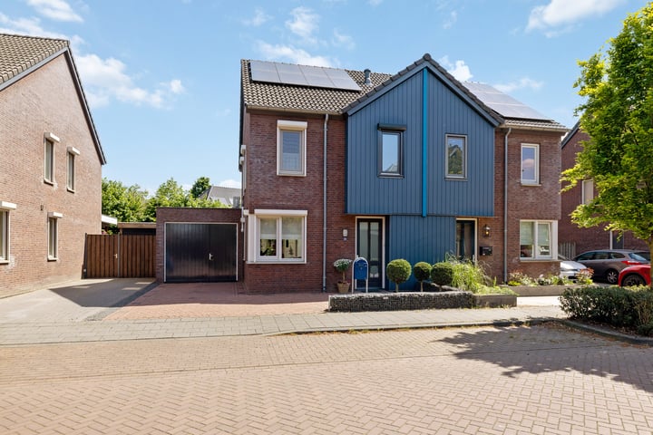 Paardebloem 16 in Boekel foto