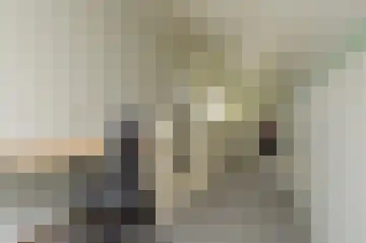 Paardebloem 2 Deurne thumbnail 18