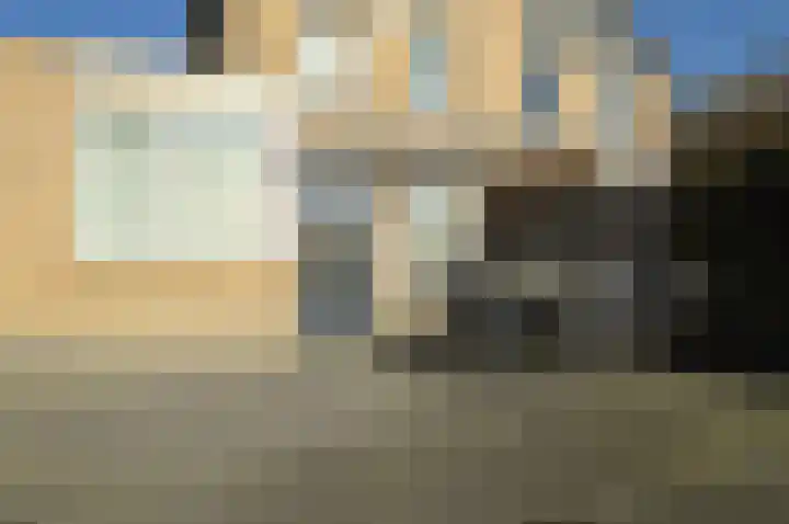 Paardebloem 2 Deurne thumbnail 20