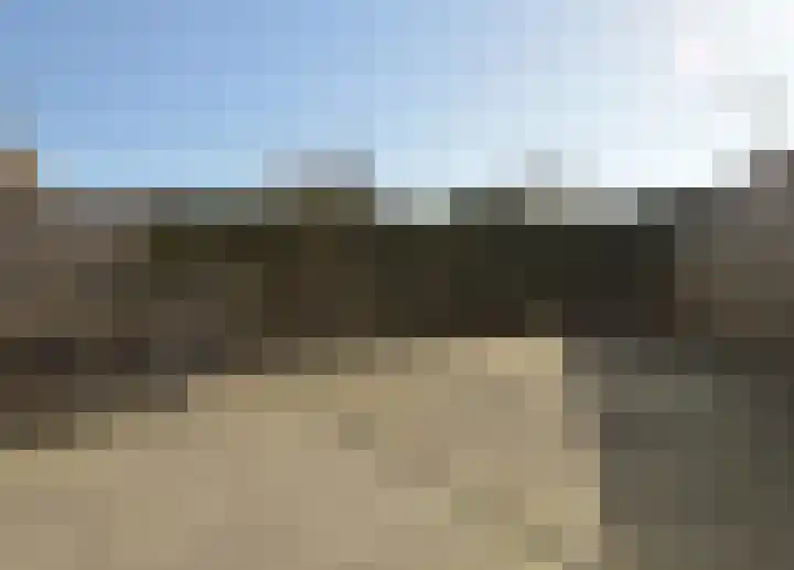 Paardebloem 2 Deurne thumbnail 21