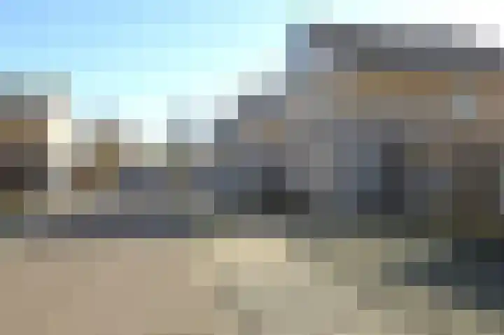 Paardebloem 2 Deurne thumbnail 23