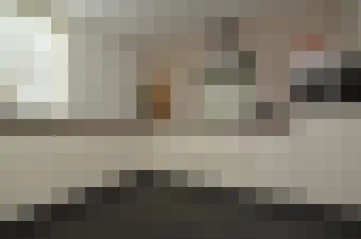 Paardebloem 2 Deurne thumbnail 7
