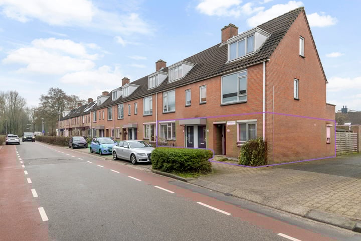 Paardebloem 25 in Zwaag foto