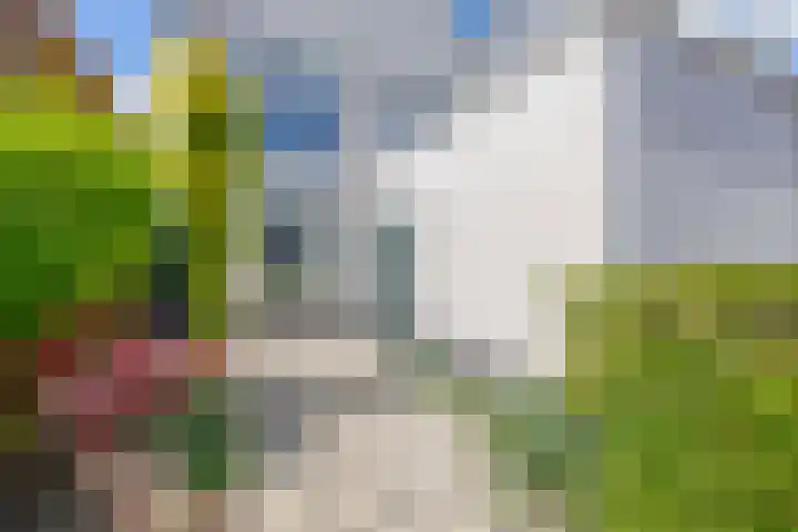 Paardenakker 22 Wormer thumbnail 10