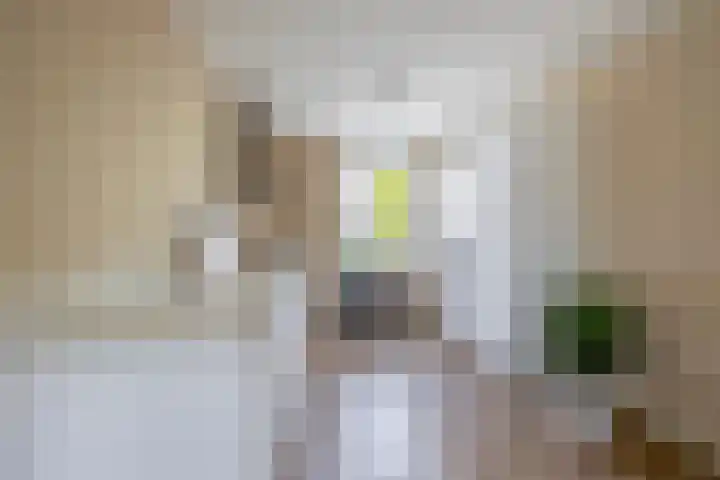 Paardenakker 22 Wormer thumbnail 18