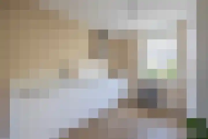 Paardenakker 22 Wormer thumbnail 19