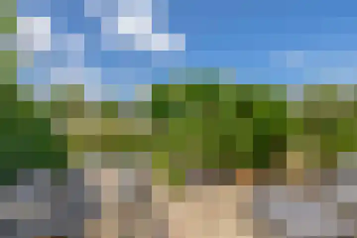 Paardenakker 22 Wormer thumbnail 32