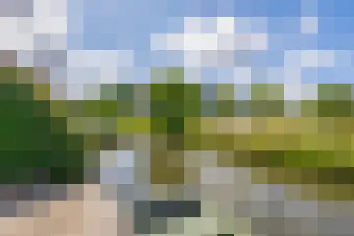 Paardenakker 22 Wormer thumbnail 33