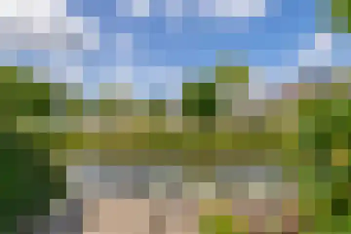 Paardenakker 22 Wormer thumbnail 34