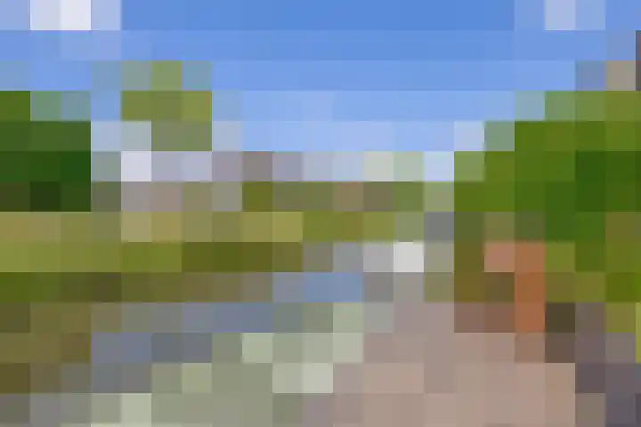 Paardenakker 22 Wormer thumbnail 4