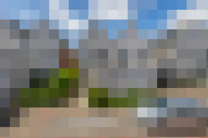 Paardenakker 22 Wormer thumbnail 9
